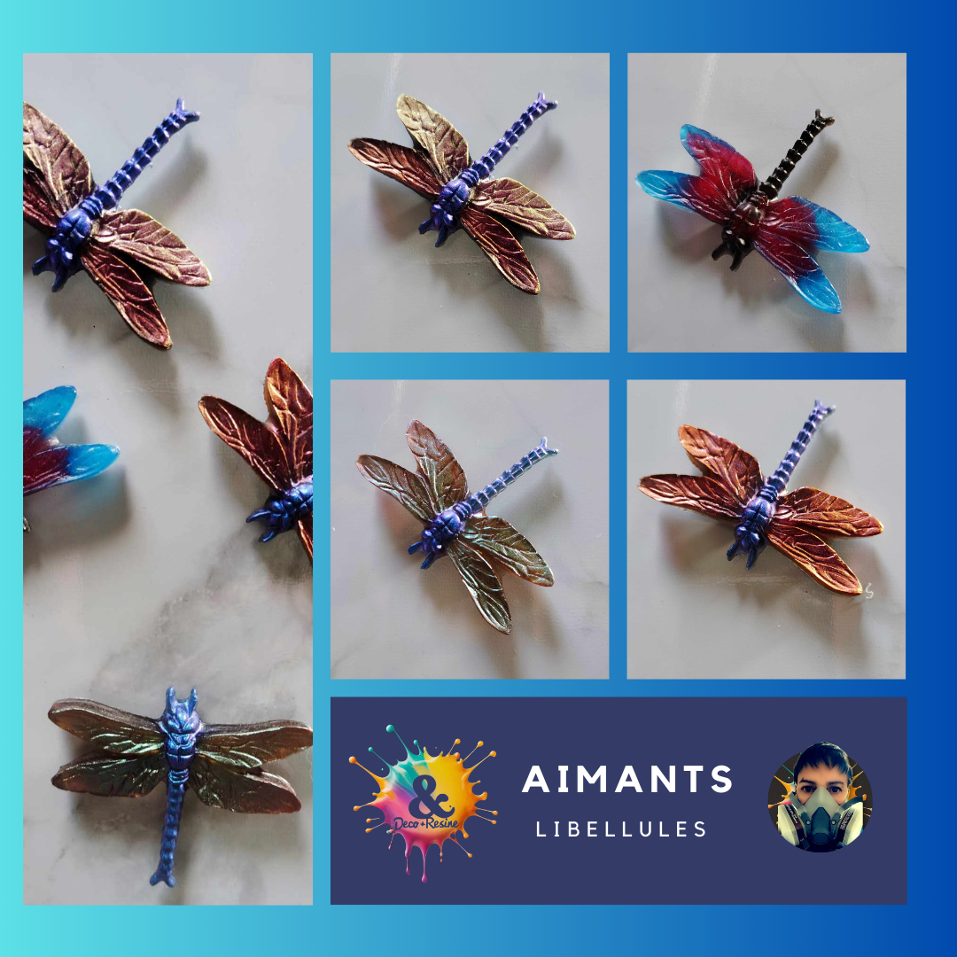 Aimant libellule résine 
